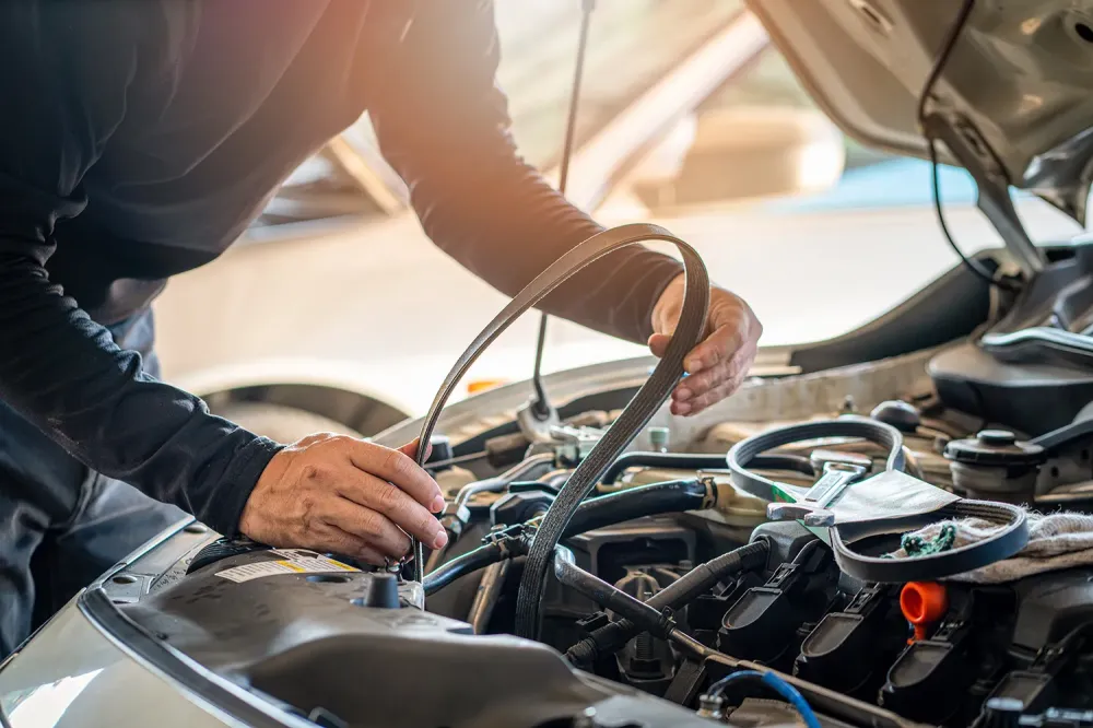 Expertise et savoir-faire à votre servicewebp
